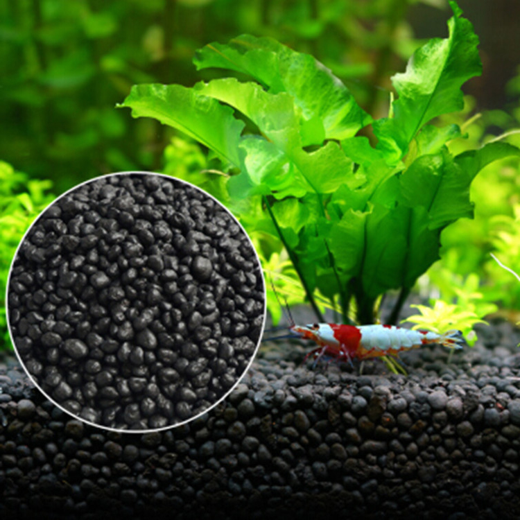 Aquarium Plants Book - Aquarium Plant Zaden Bodem Fishtank Substraat
