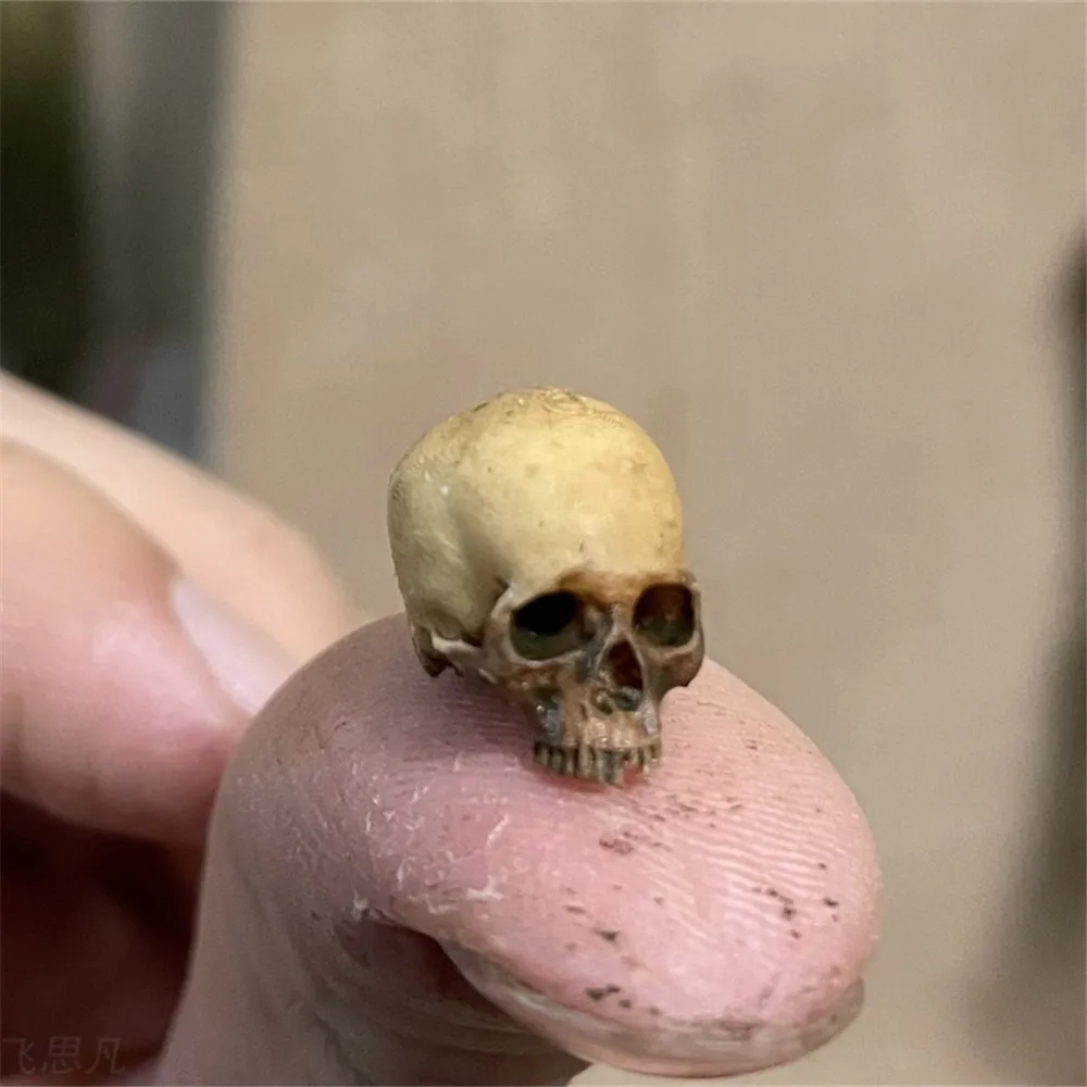 Aquarium Plants Book - Mini Skull Hoge kwaliteit miniatuurmodel voor