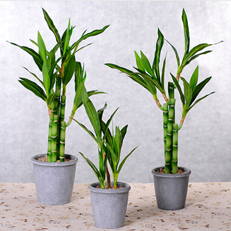 Nieuwe 40cm kunstmatige geluks - Aquarium Plants Book recensie en prijs