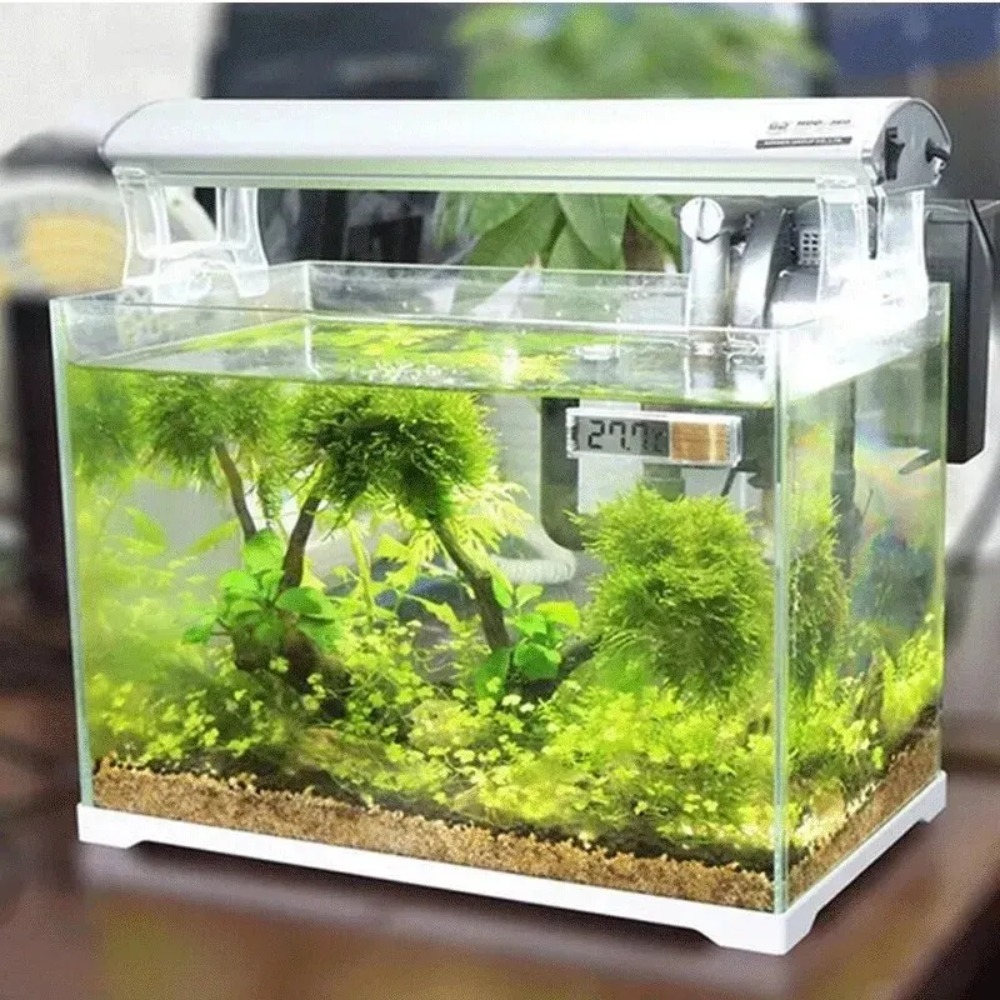 1PC Aquariumthermometer Elektr - Planted Aquarium Temperature recensie en prijs