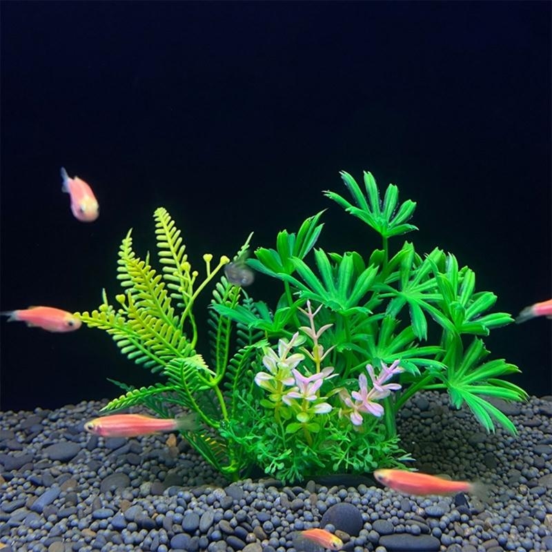 Kunstmatige aquariumdecoratie  - Planted Aquarium Best Fish recensie en prijs