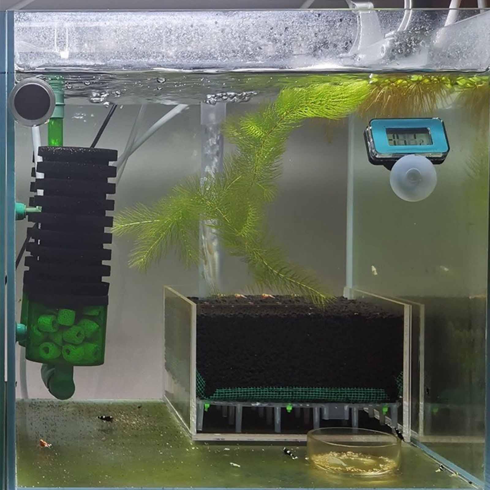 Transparante Acryl Aquarium Fi - Planted Aquarium Undergravel Filter recensie en prijs