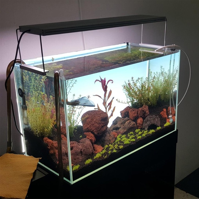Bestverkochte LED aquariumlamp - Planted Aquarium Best Fish recensie en prijs