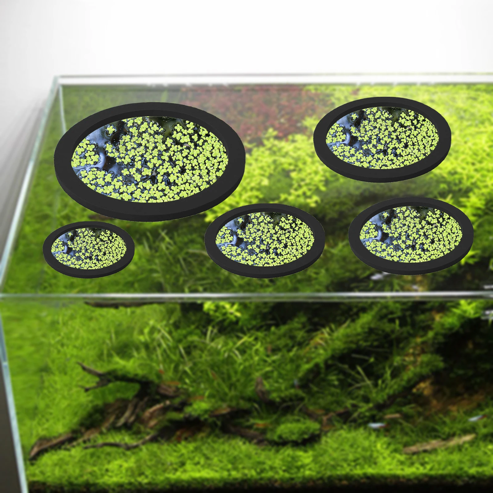 5 stks EVA Vis Voeden Ring Aqu - Aquarium Plants Book recensie en prijs