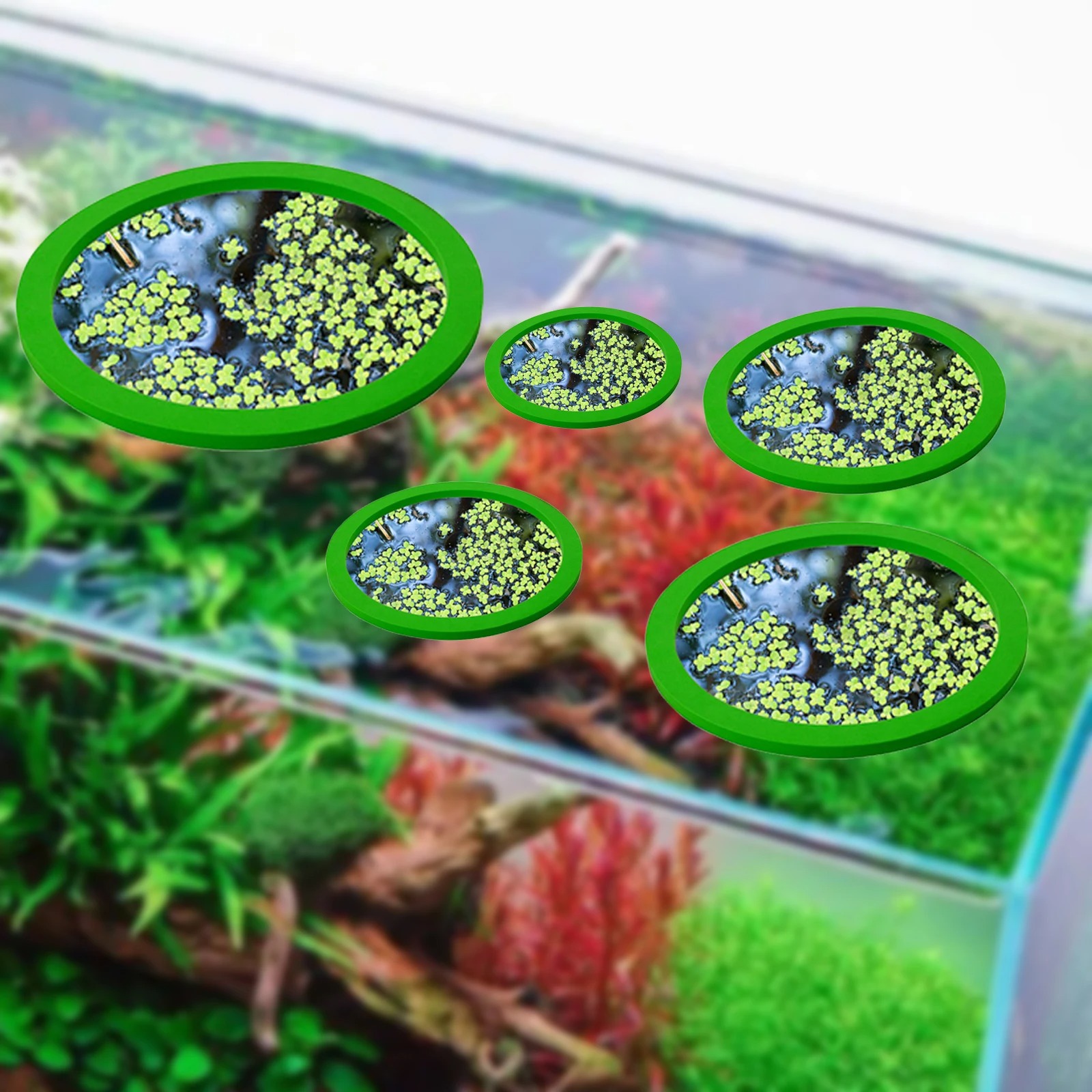 5 stks EVA Vis Voeden Ring Aqu - Aquarium Plants Book recensie en prijs