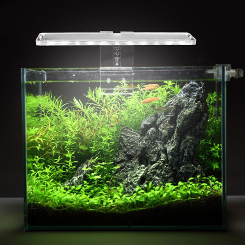 Led Aquarium Lamp Plantaardige - Planted Aquarium Best Fish recensie en prijs