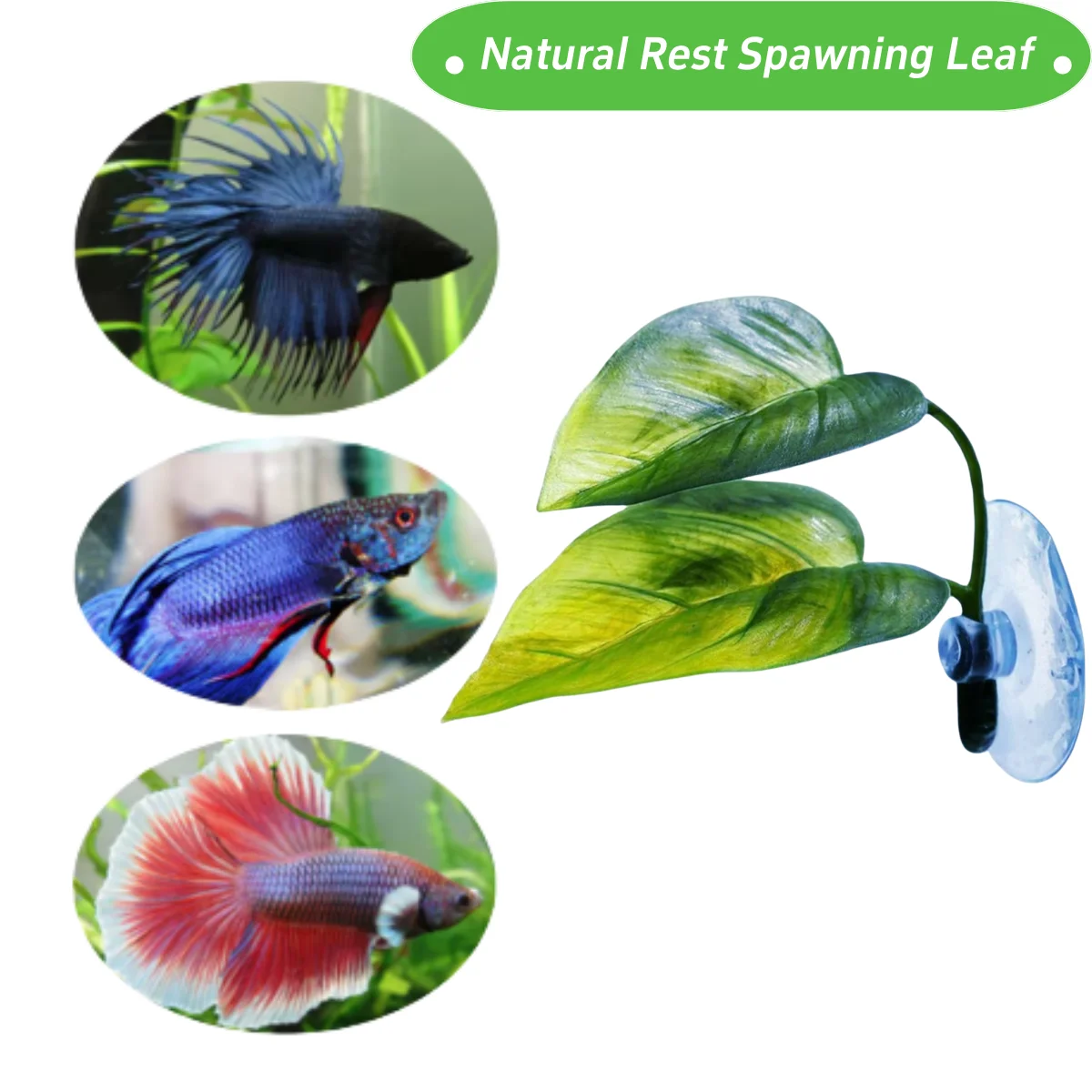 Huisdieren Aquarium Decor Bett - Aquarium Planted Tree recensie en prijs