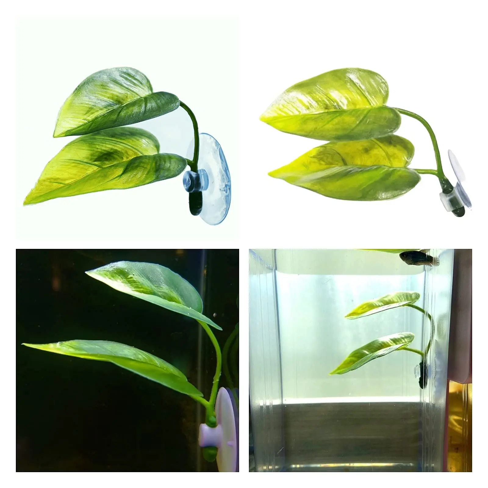 Huisdieren Aquarium Decor Bett - Aquarium Planted Tree recensie en prijs