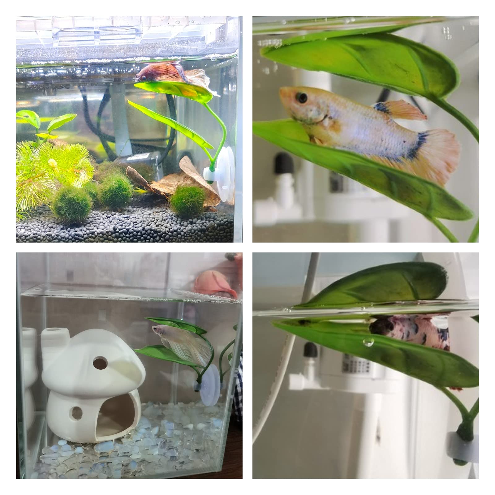Huisdieren Aquarium Decor Bett - Aquarium Planted Tree recensie en prijs
