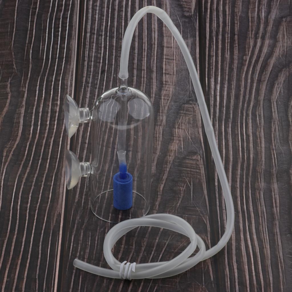 CO2-diffusorsysteem voor gepla - Planted Aquarium Co2 System recensie en prijs