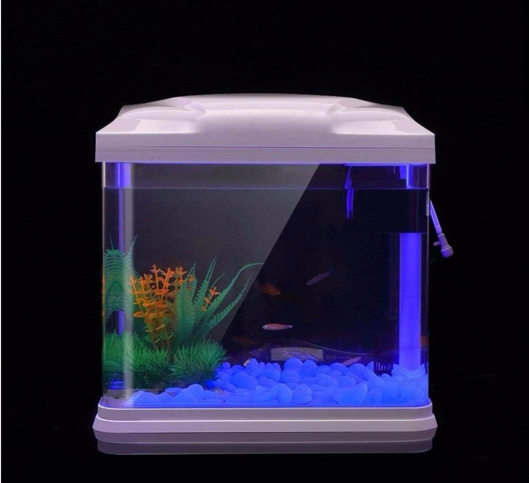 Aquarium Rotsen Glow Blue Kiez - Aquarium Plants Book recensie en prijs