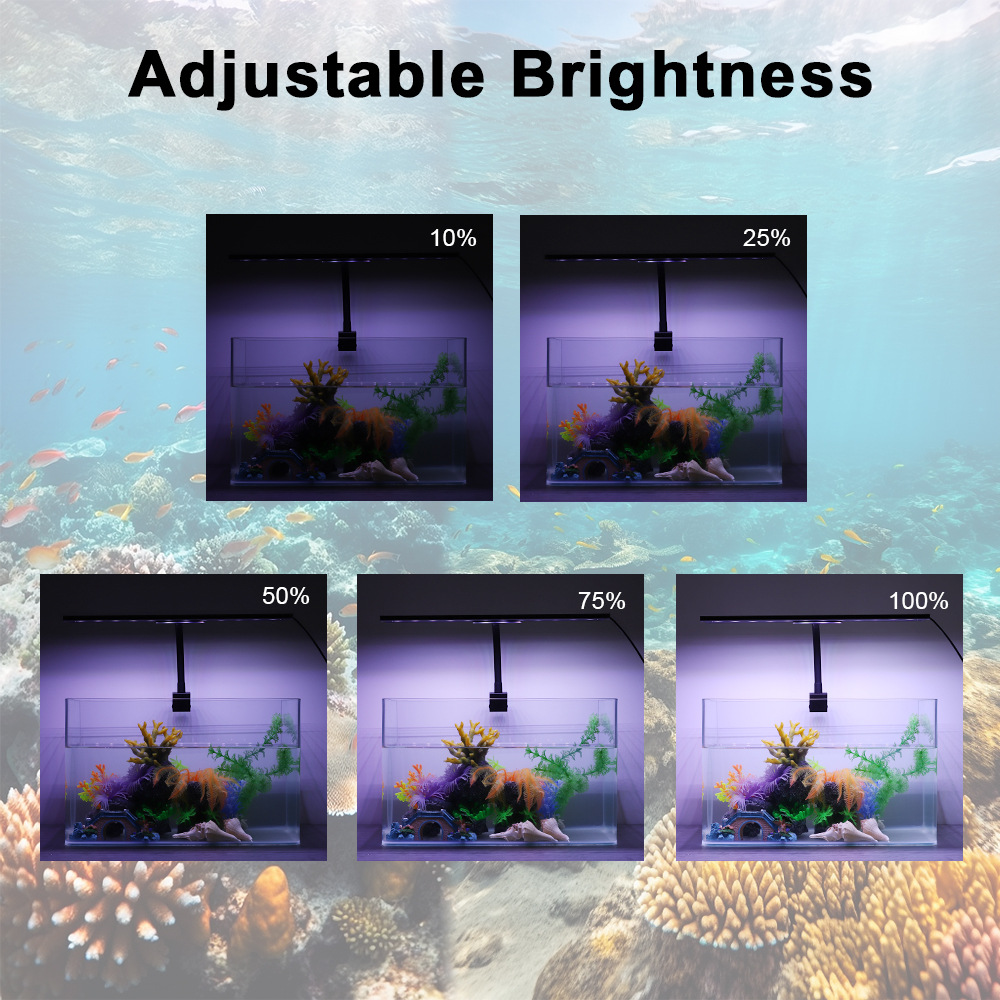 24/7 Lichtcyclus Visbak LED-la - Planted Aquarium Cycling recensie en prijs
