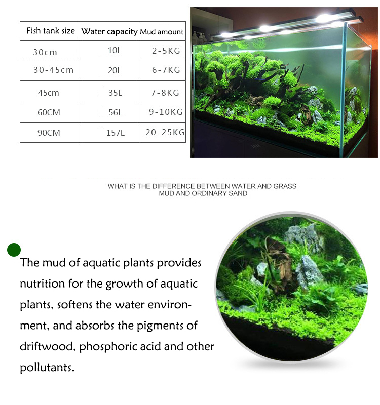 Aquarium Plant Zaden Bodem Fis - Aquarium Plants Book recensie en prijs