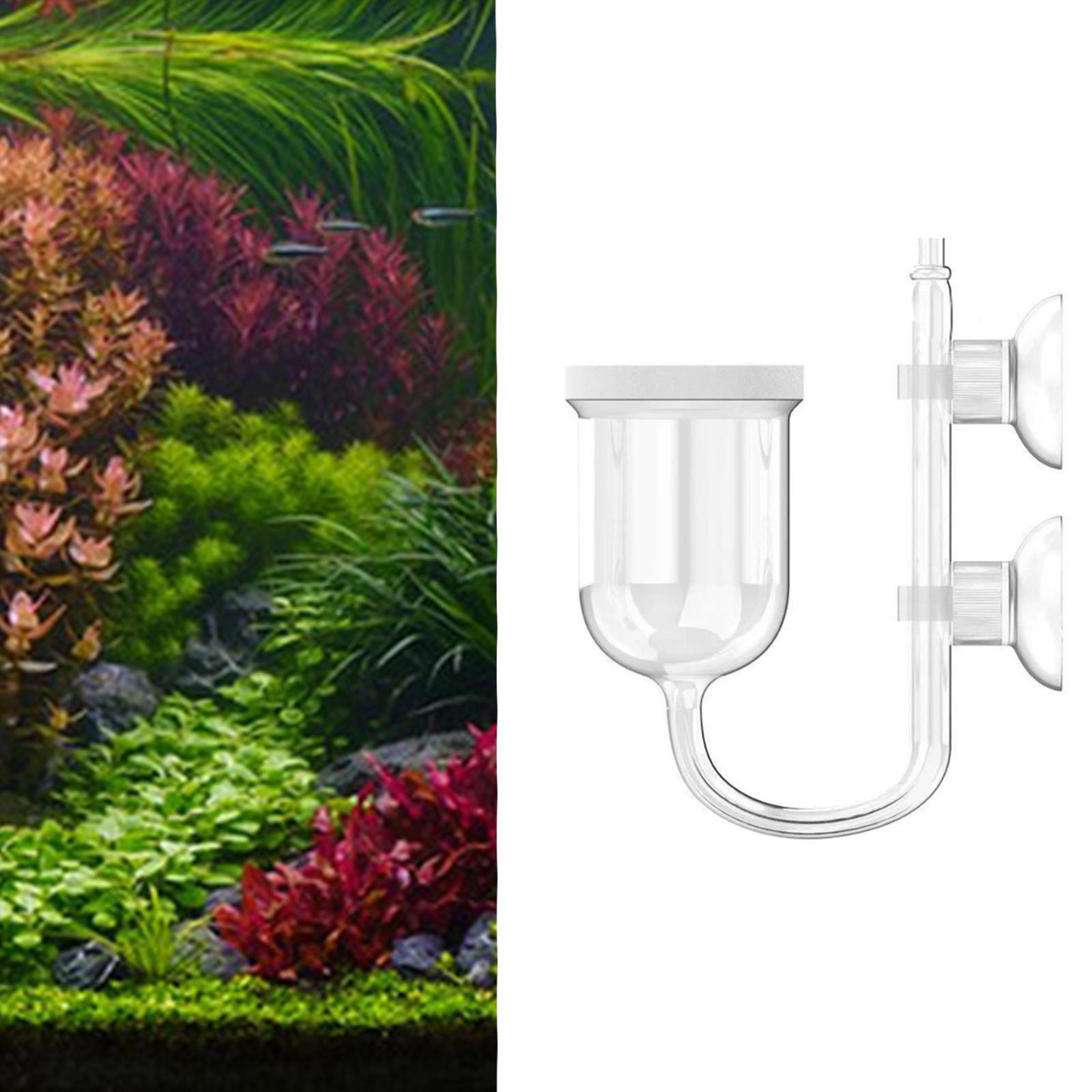 Glazen CO2-diffusor, transpara - Planted Aquarium Co2 System recensie en prijs