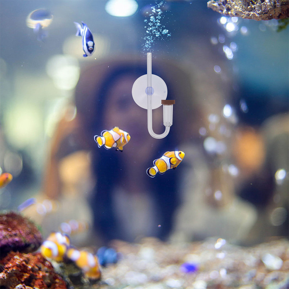 1Set CO2 Diffuser Acryl Koolst - Planted Aquarium Co2 System recensie en prijs