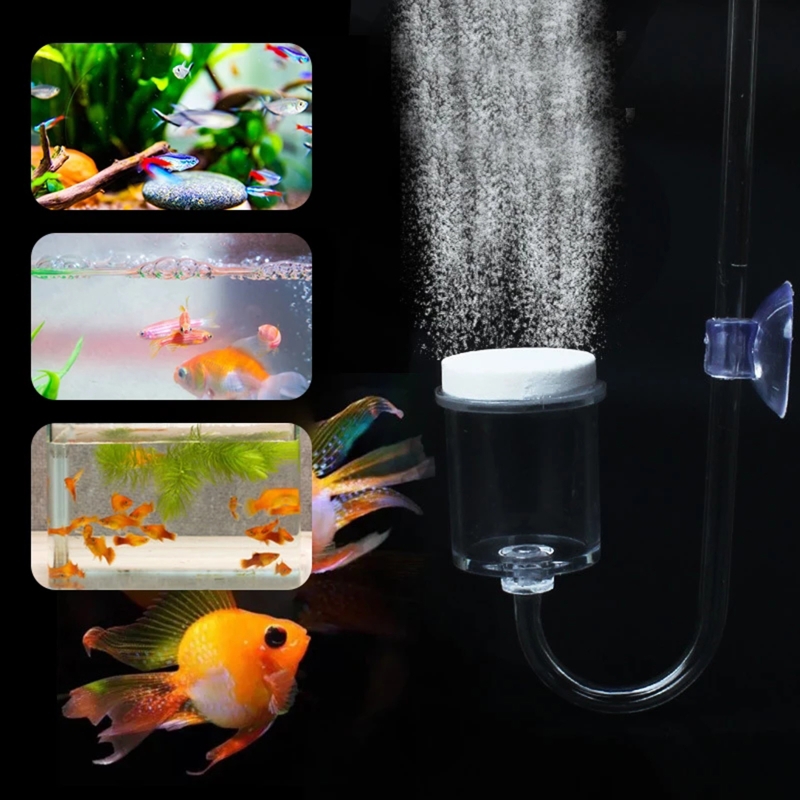 4 Stuks Set Diy Co2 Diffuser V - Aquarium Plants Book recensie en prijs